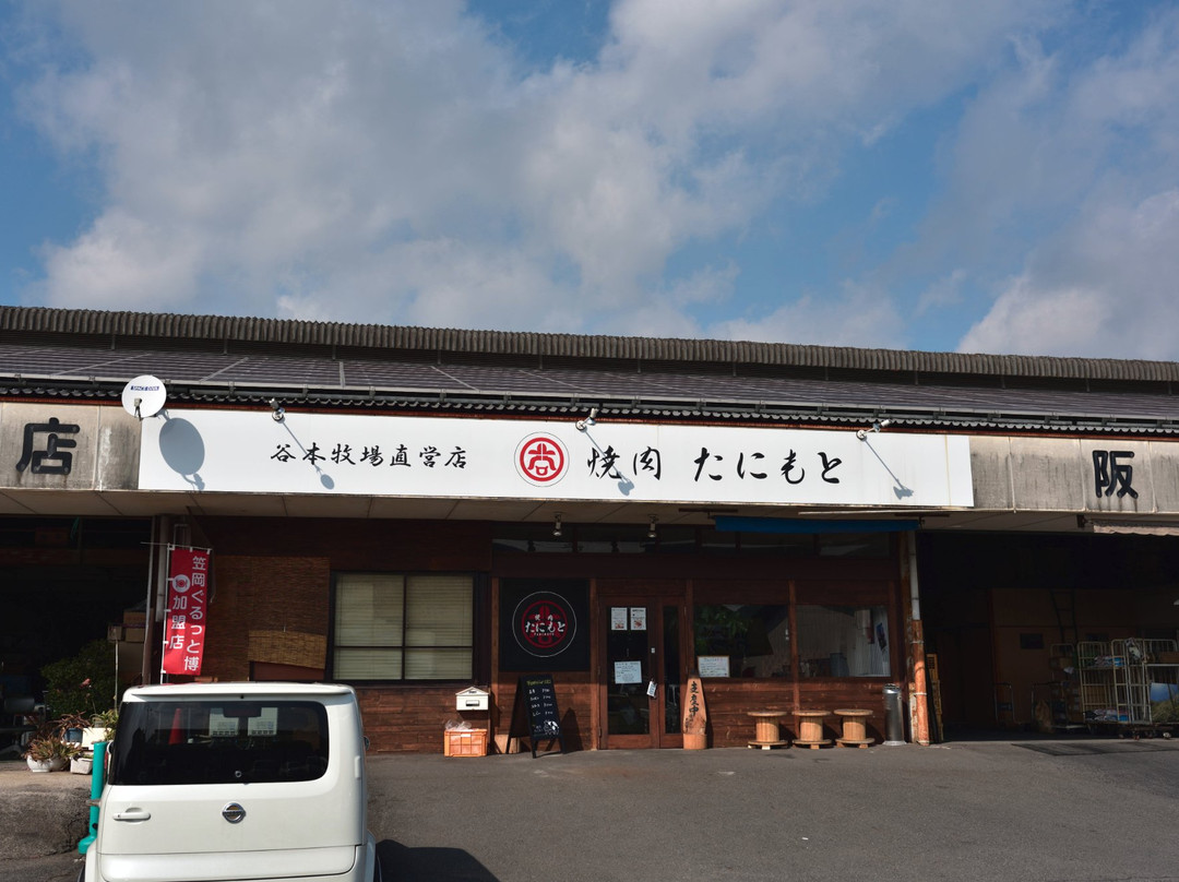 笠冈市餐馆和美食-Yakiniku Tanimoto