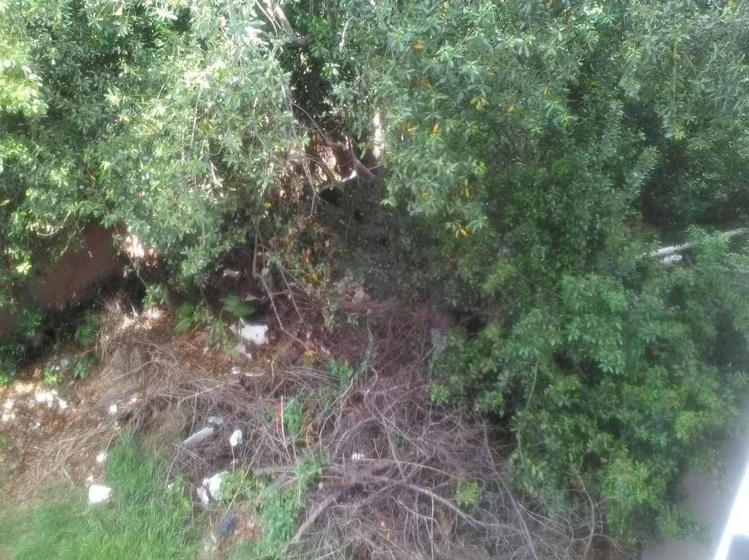 Hotel EL Aguila主图