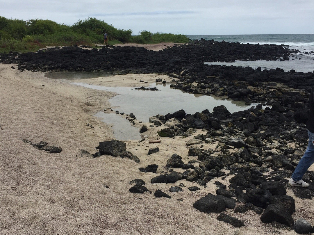 Santa Cruz Island景点图片