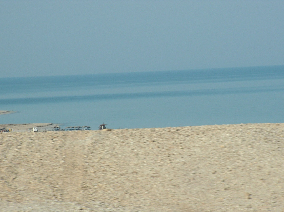 Caesar Resorts Deadsea Hotel主图