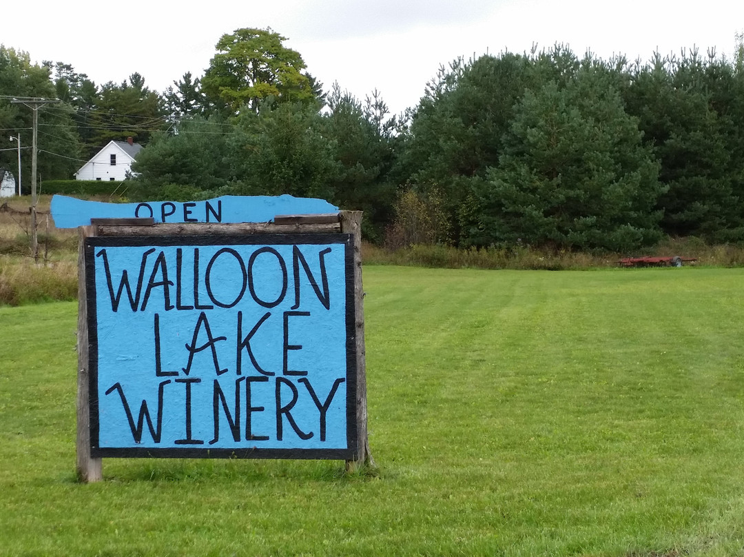 Walloon Lake Winery-皮托斯基必去景点