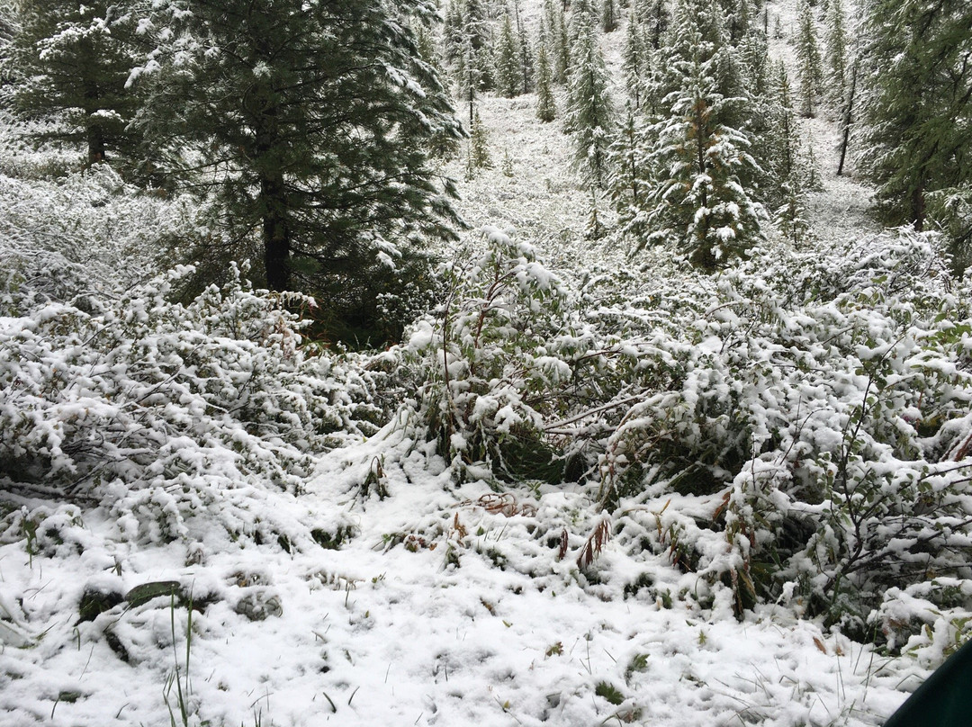 Shavlinskiye Lakes-Chibit必去景点