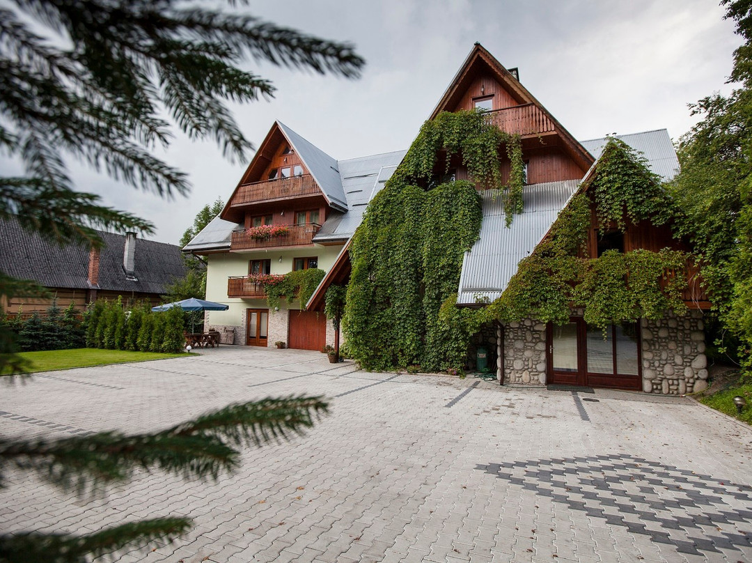 Bialy Dunajec酒店住宿-Villa Fiore