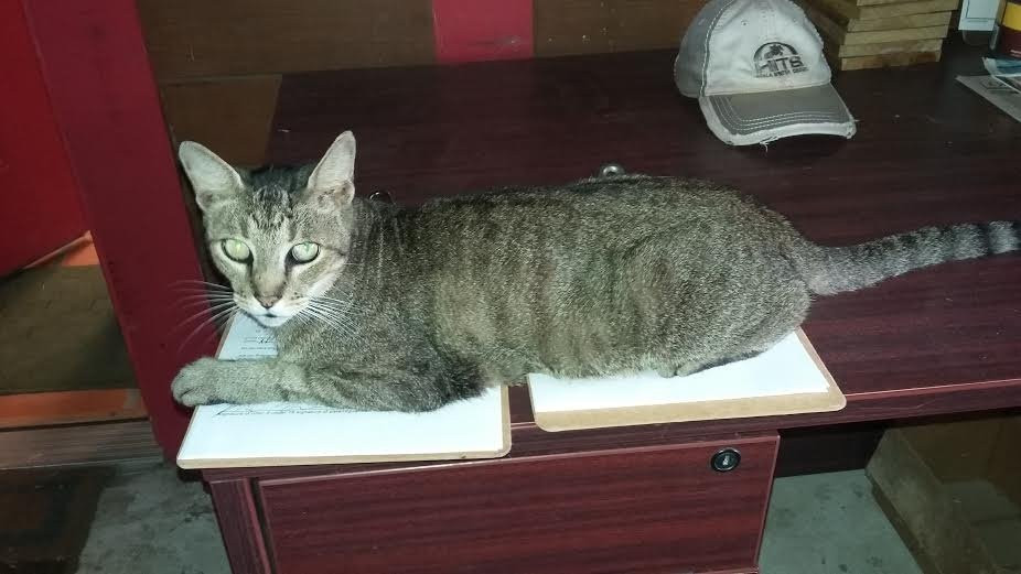 Happy Acres Ranch-Dunnellon必去景点