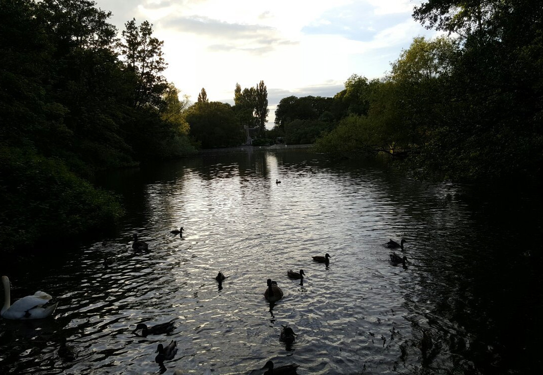 Radwell Lake景点图片