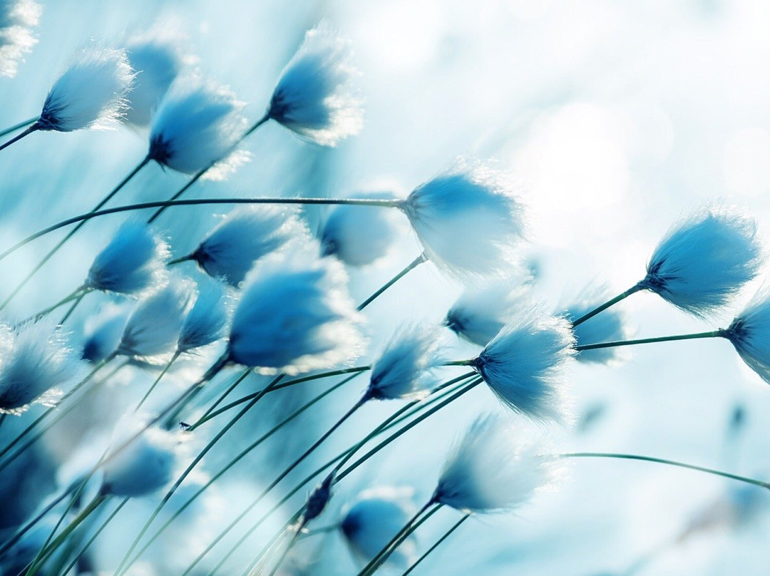 Yana Massage & Spa Center-Isfahan必去景点