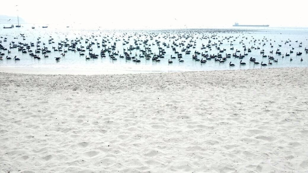 Hotel Mejillones主图