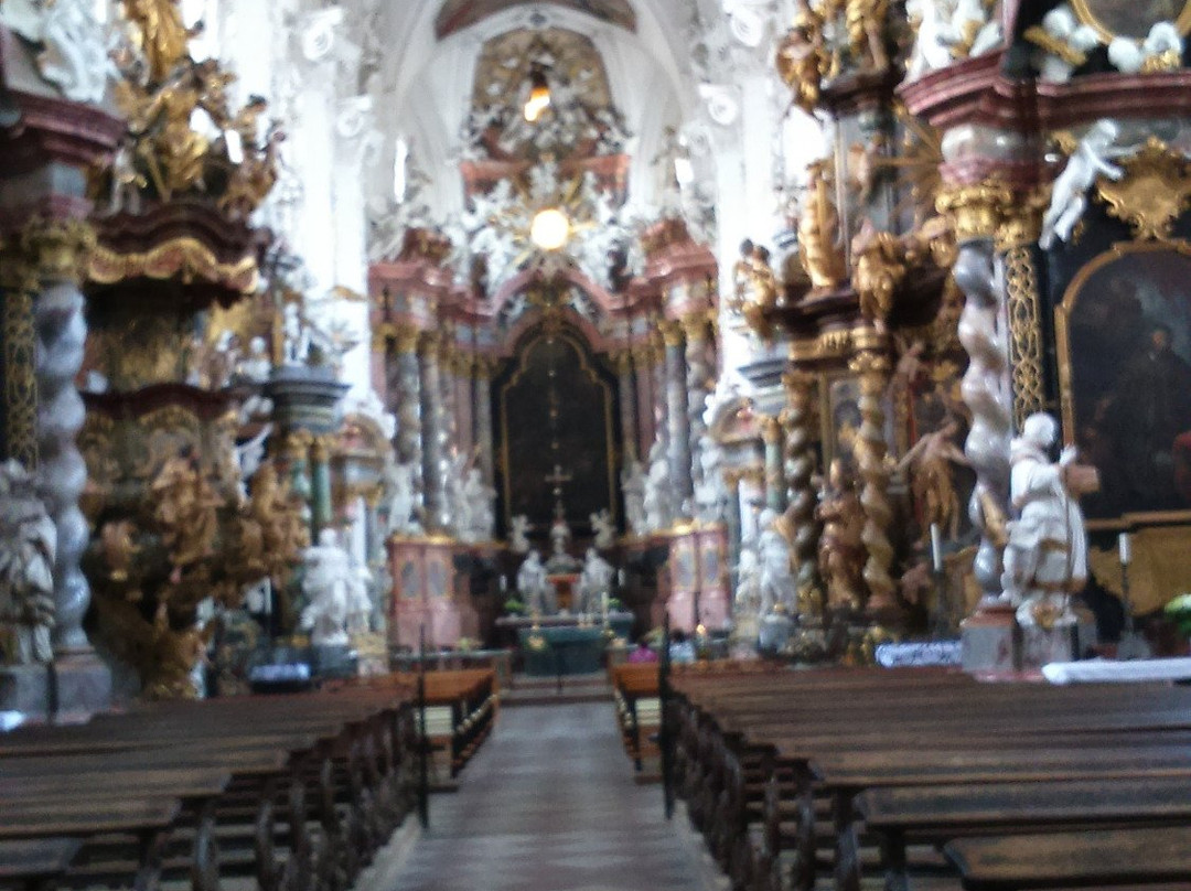 Kloster Neuzelle景点图片