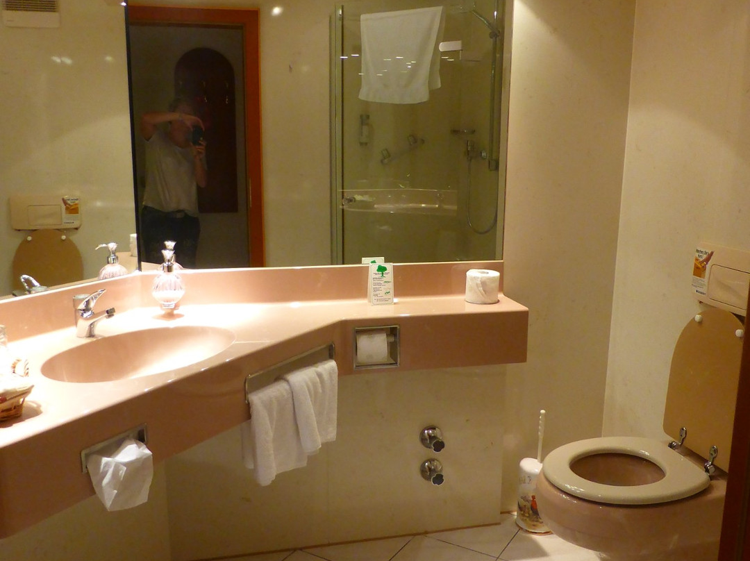 Hotel-Restaurant Roter Hahn主图