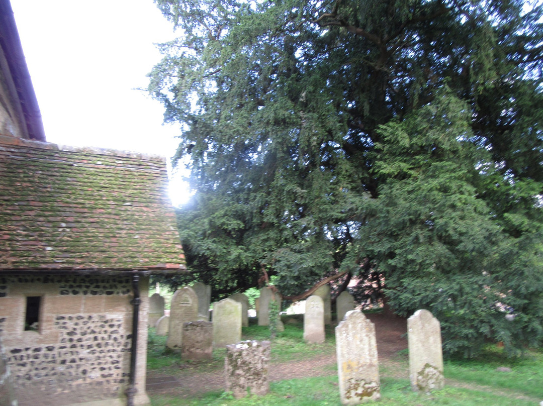 Corhampton Saxon Church-Bishop's Waltham必去景点