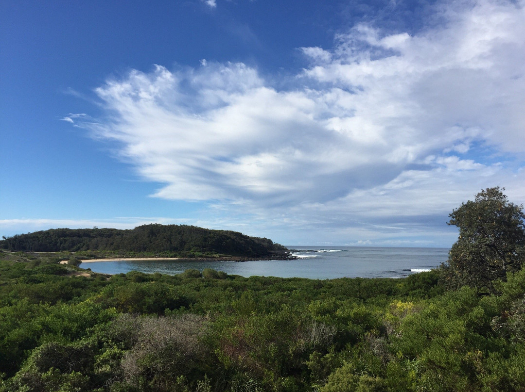 Broulee Island Walk景点图片