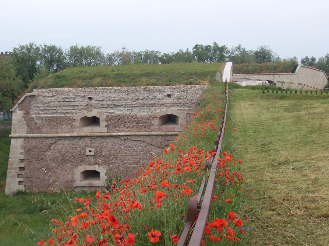 Bastione delle Maddalene景点图片