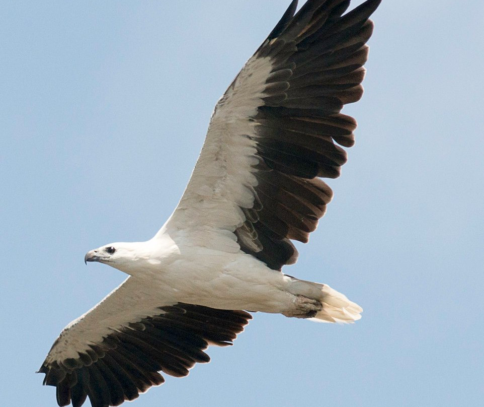 Camden Haven Cruises-Laurieton必去景点