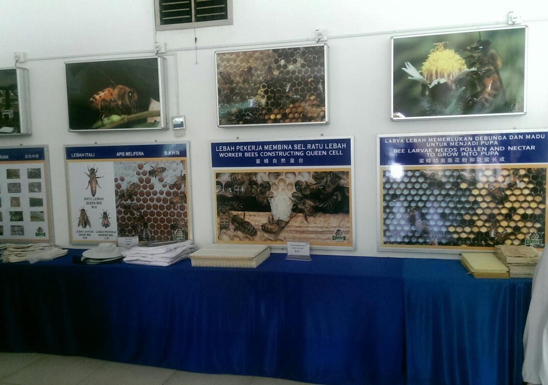 Bees Museum-爱极乐必去景点