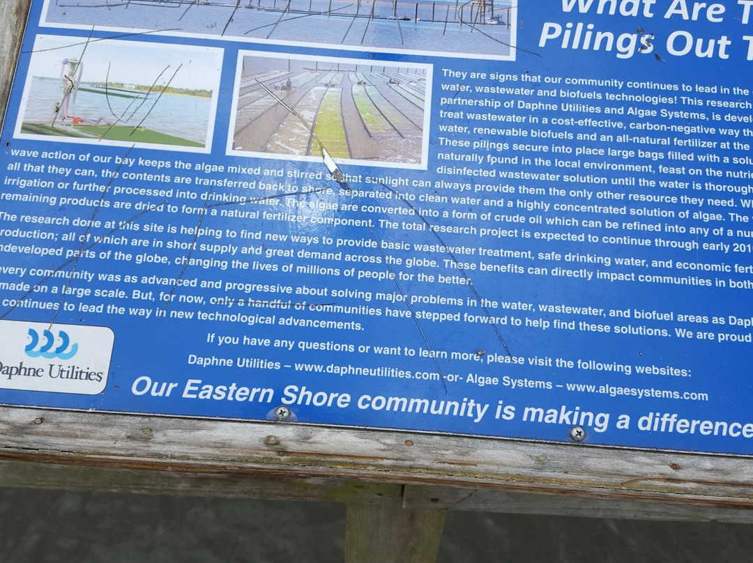 May day park-达芙妮必去景点