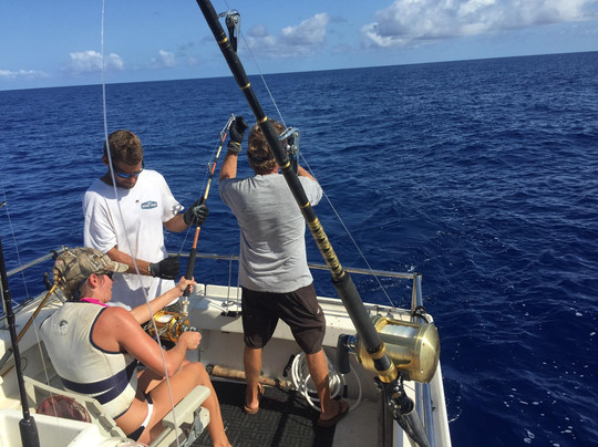 Deep Sea Sportfishing Hawaii-哈雷瓦必去景点