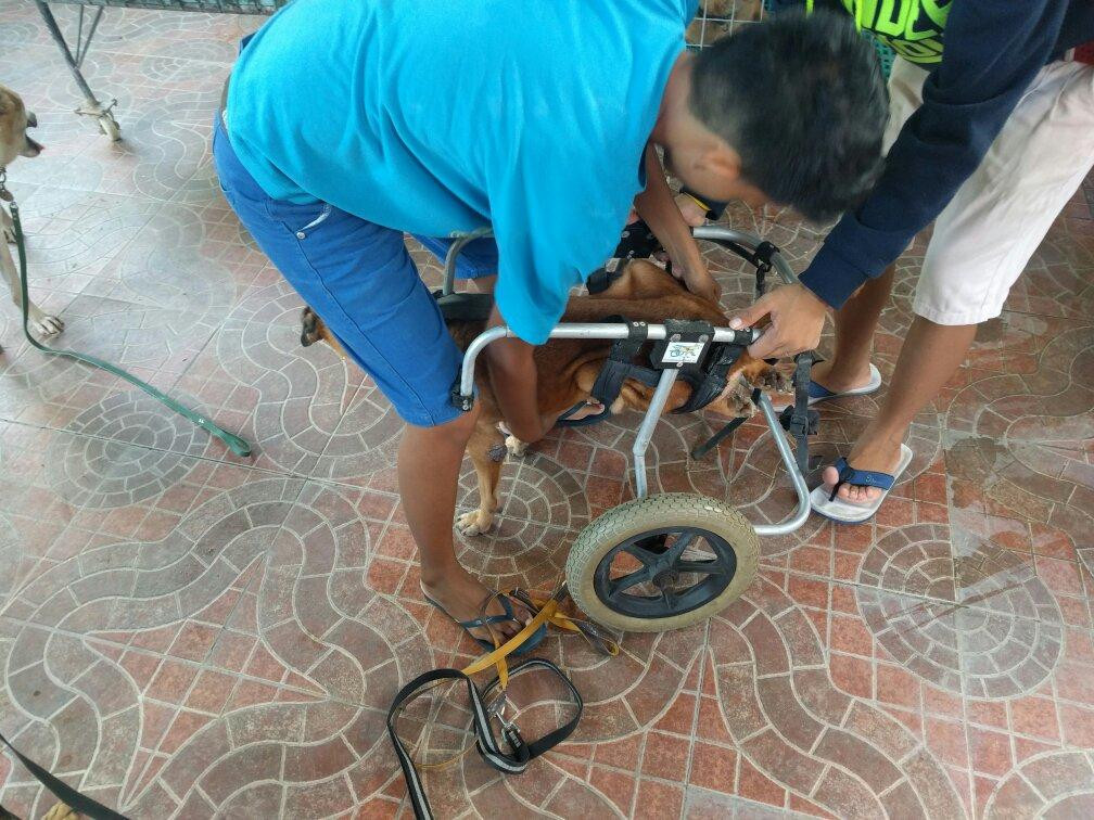 Aklan Animal Rescue & Rehabilitation Center-卡利波必去景点