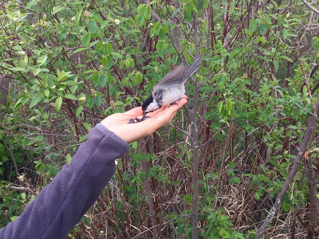 Beaver Creek Conservation Area-萨斯卡通必去景点