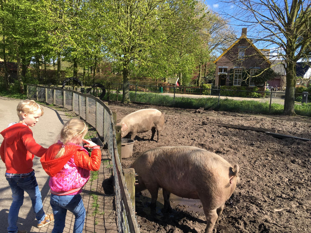 Stichting Milieu Educatie en Kinderboerderij景点图片