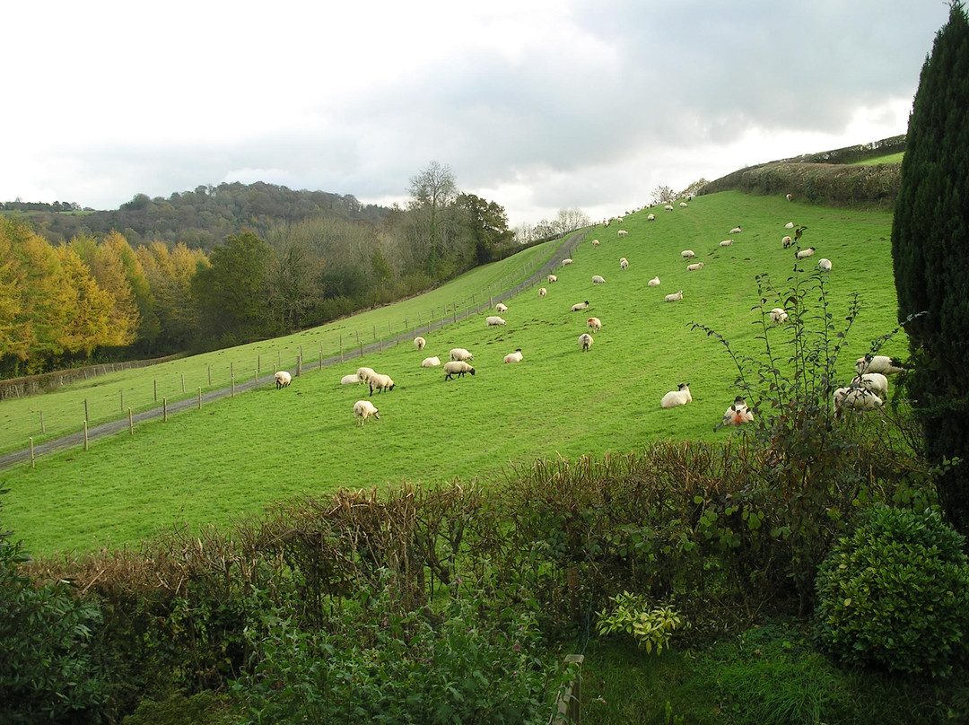 Winsbere House主图