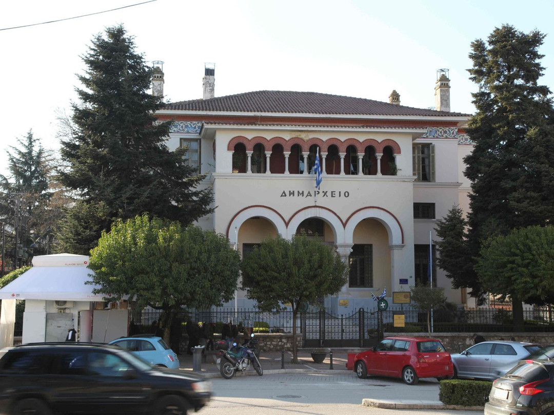 Ioannina City Hall景点图片