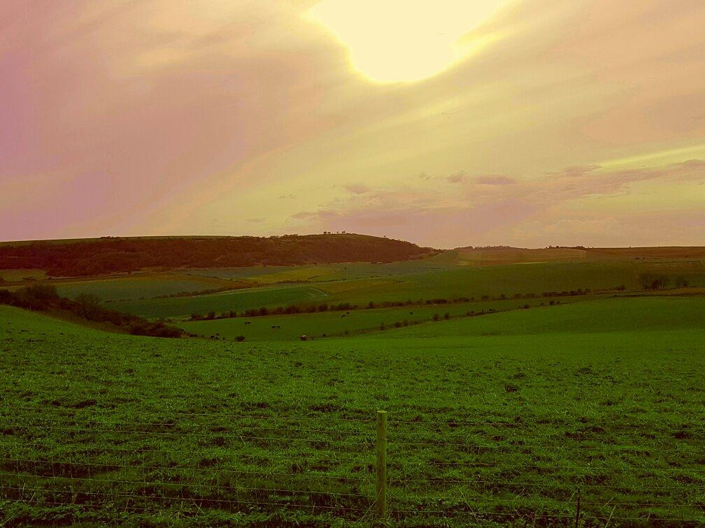 South Downs Way National Trail景点图片