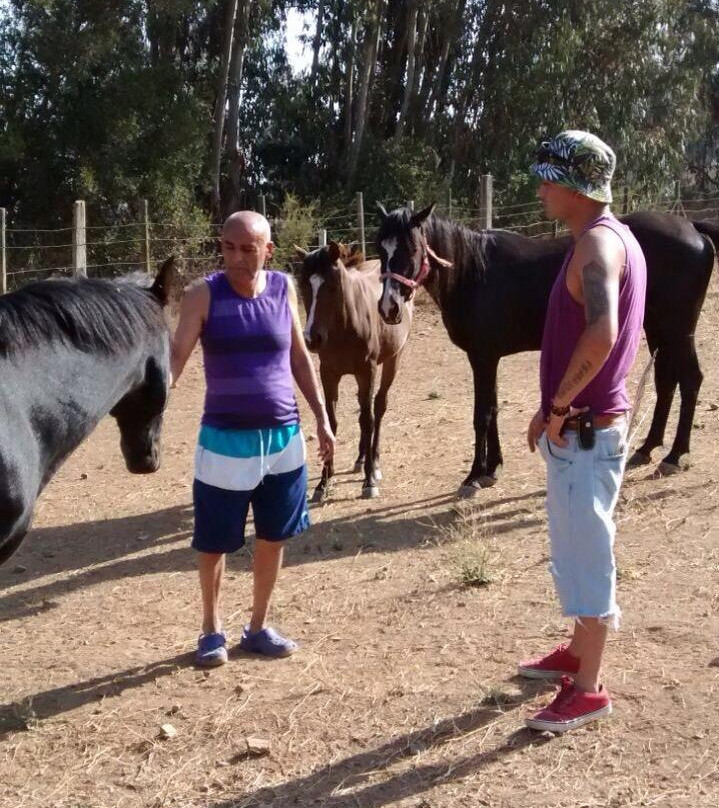 Rancho Vida Sana-Olmue必去景点