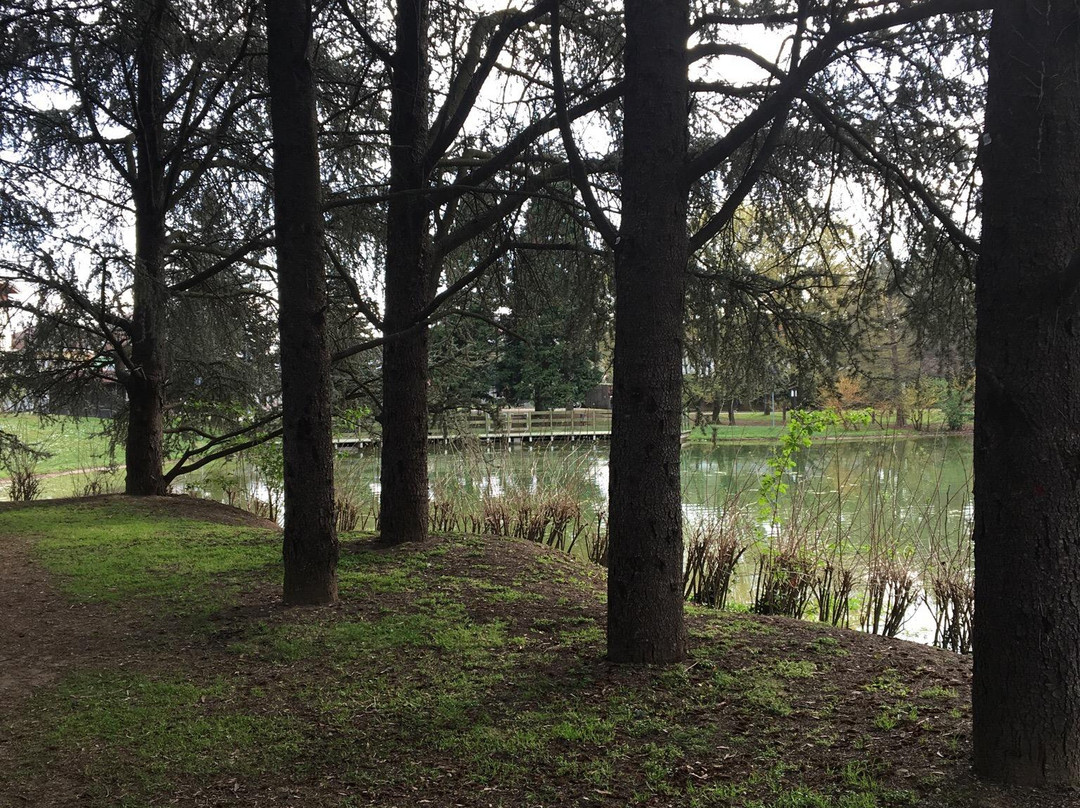 Parco Aldo Moro景点图片