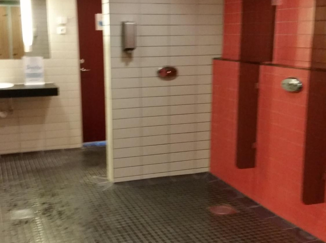 Arena Skövde Upplevelsebad景点图片