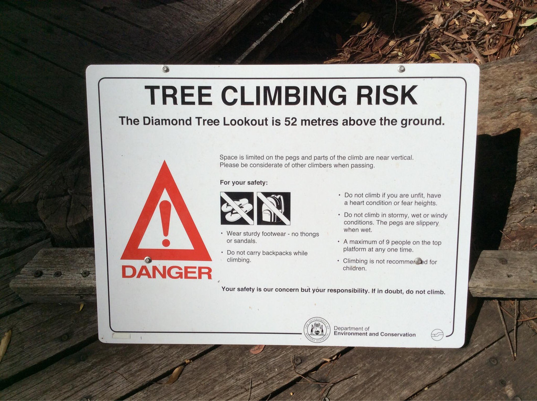 Diamond Tree-Manjimup必去景点