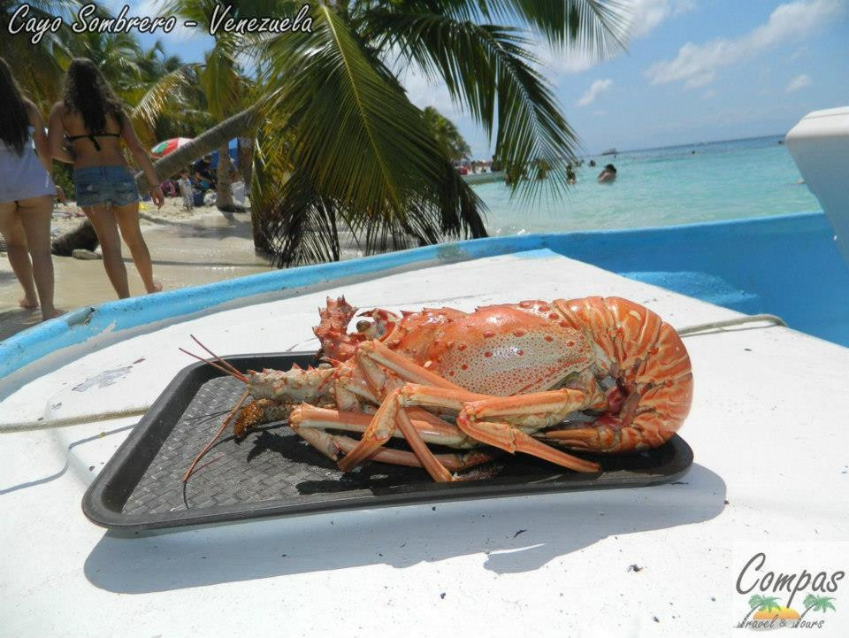 Compas Travel & Tours-加拉加斯必去景点