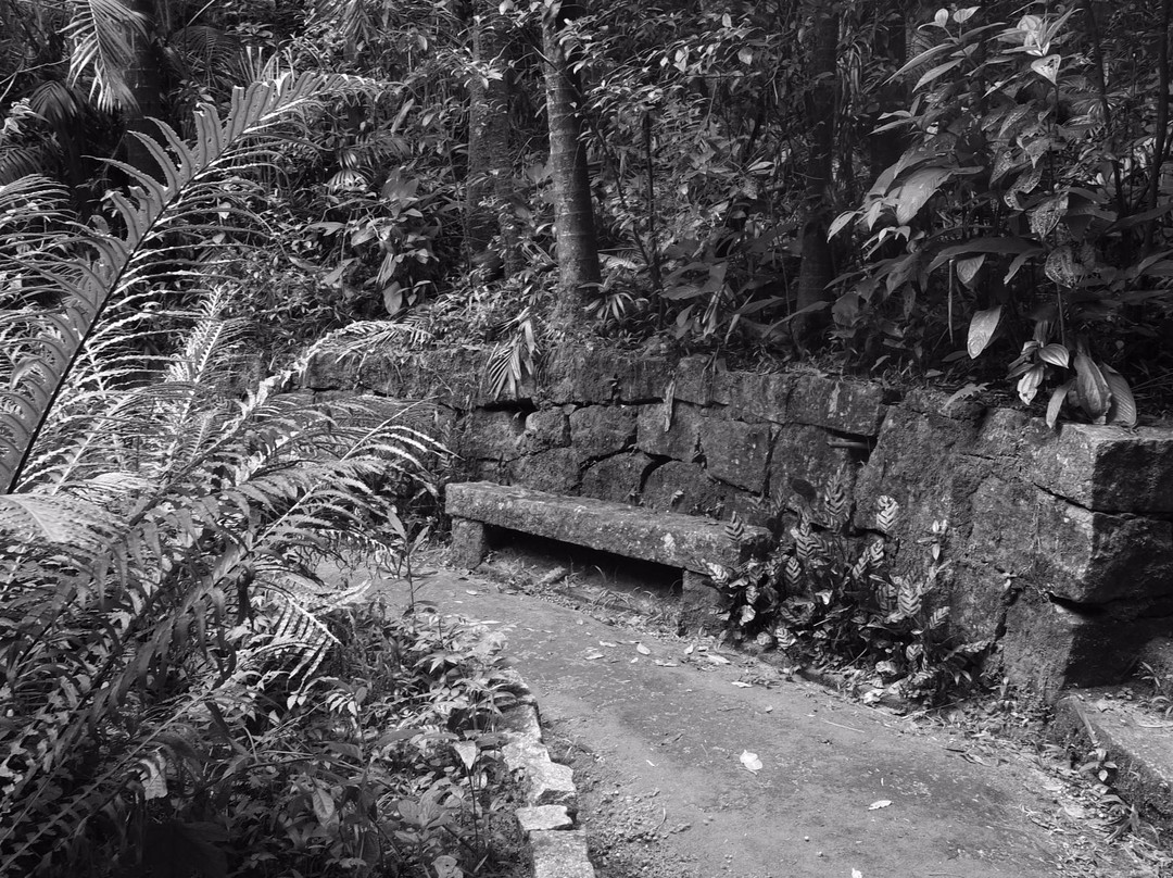 Maua旅游攻略图片