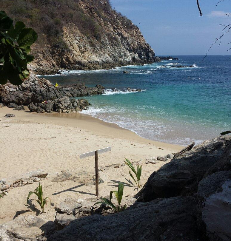 La Boquilla酒店住宿-Hotel Capy