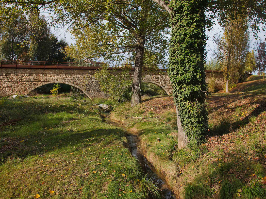 Pont de Can Vernet景点图片