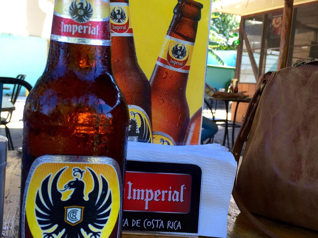 Hotel Cabinas Amelia主图