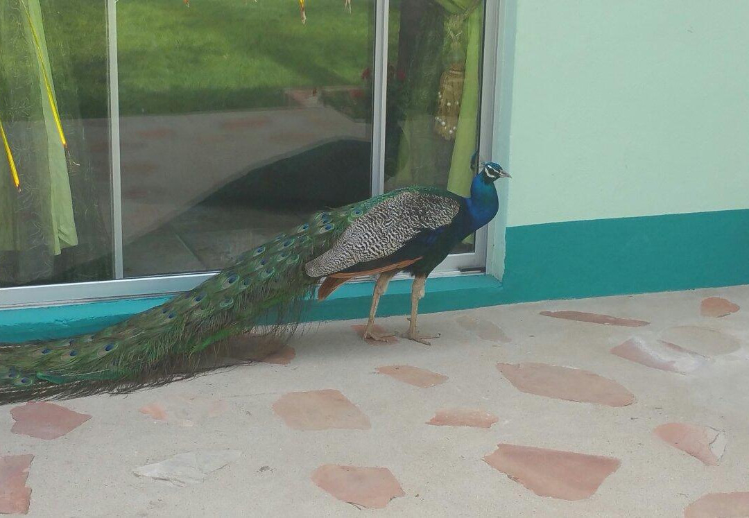 Country Club Port Nolloth主图