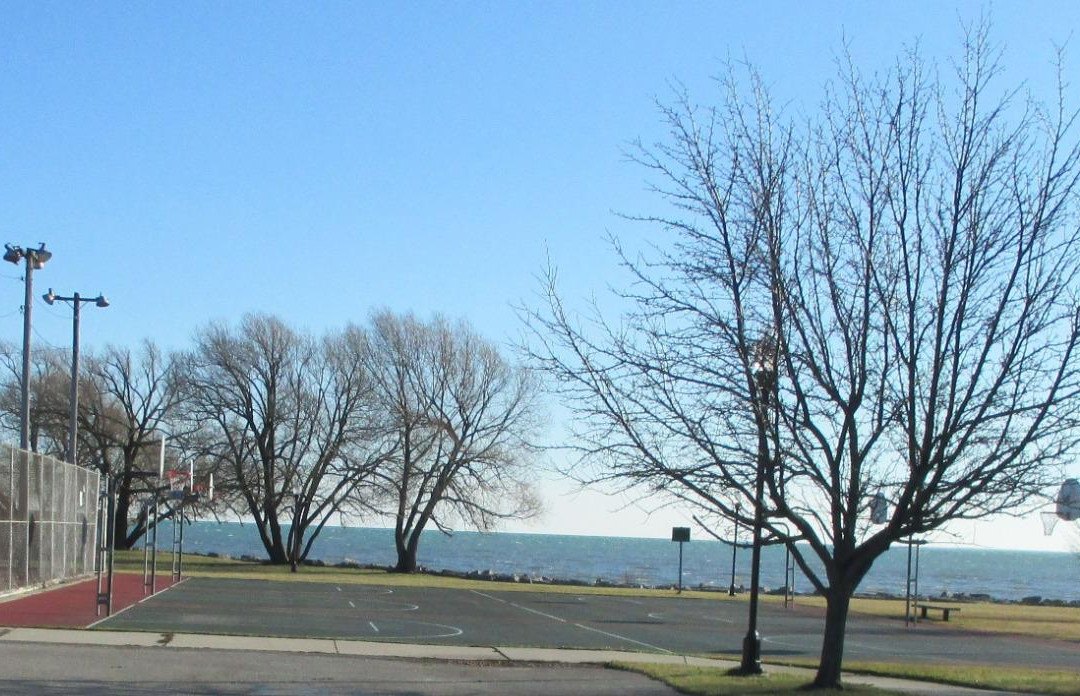 Bayview Park景点图片