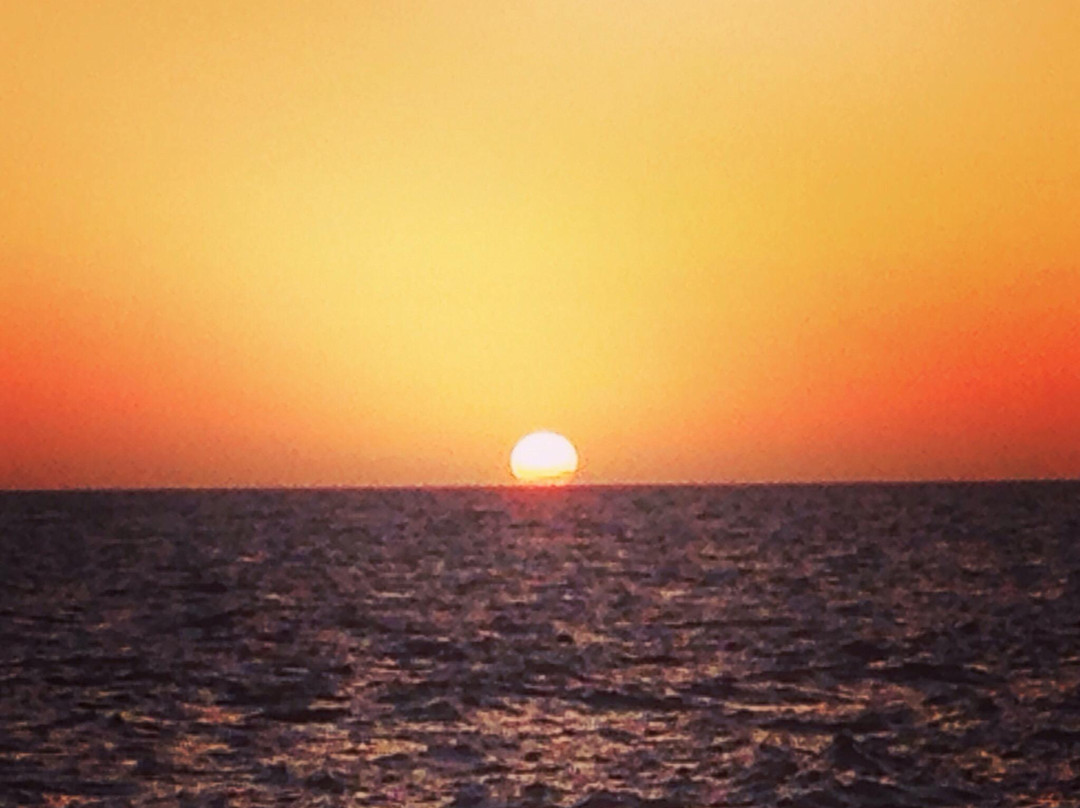 Blackstone Surf Center-特纳里夫必去景点