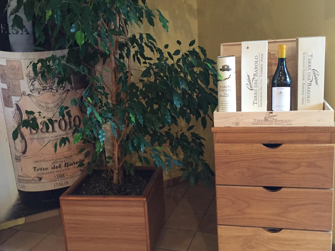 Cantina Terre del Barolo-Castiglione Falletto必去景点
