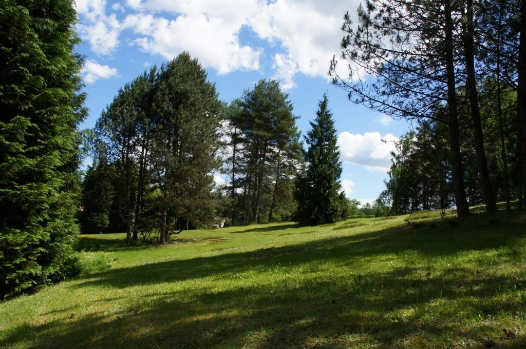Forest Arboretum in Zielonka景点图片