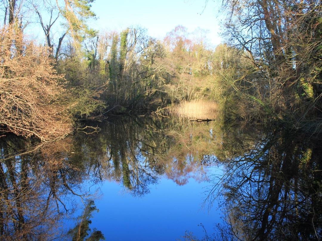 Oak Park Forest Park-Carlow必去景点