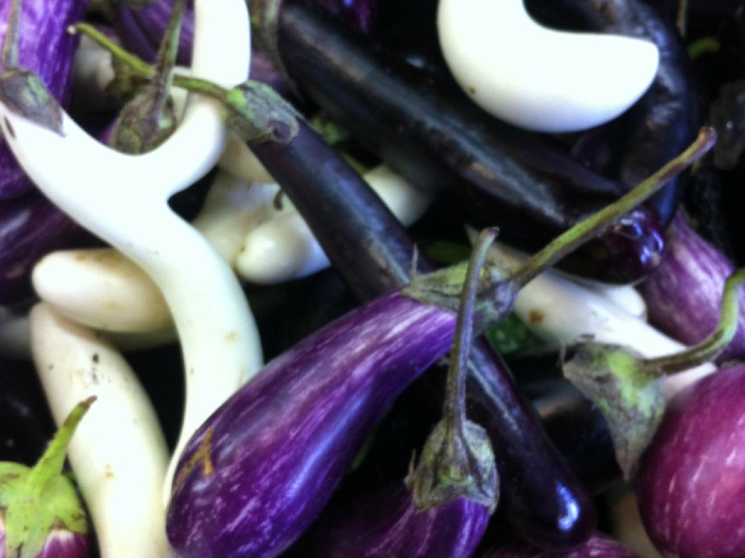 Hudson Valley Food Tours景点图片