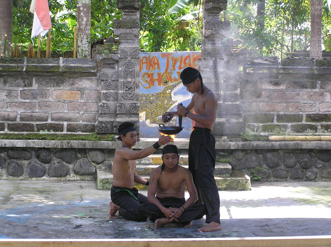 Crocodile and Reptile Indonesia Jaya Park-孟格威必去景点