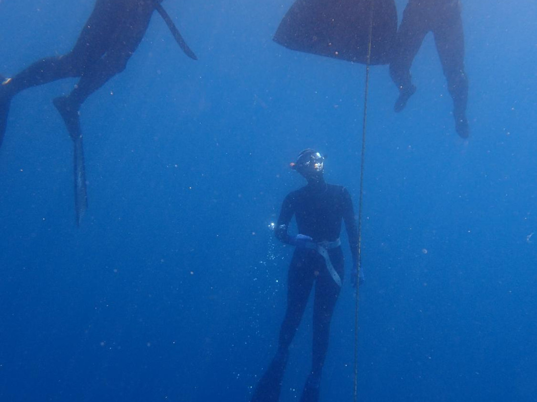 Freediving Planet景点图片