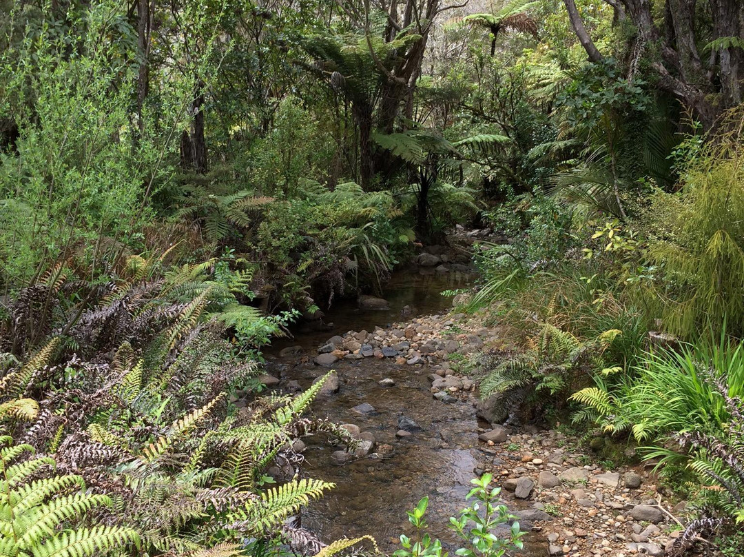 RAPAURA Watergardens-Thames必去景点