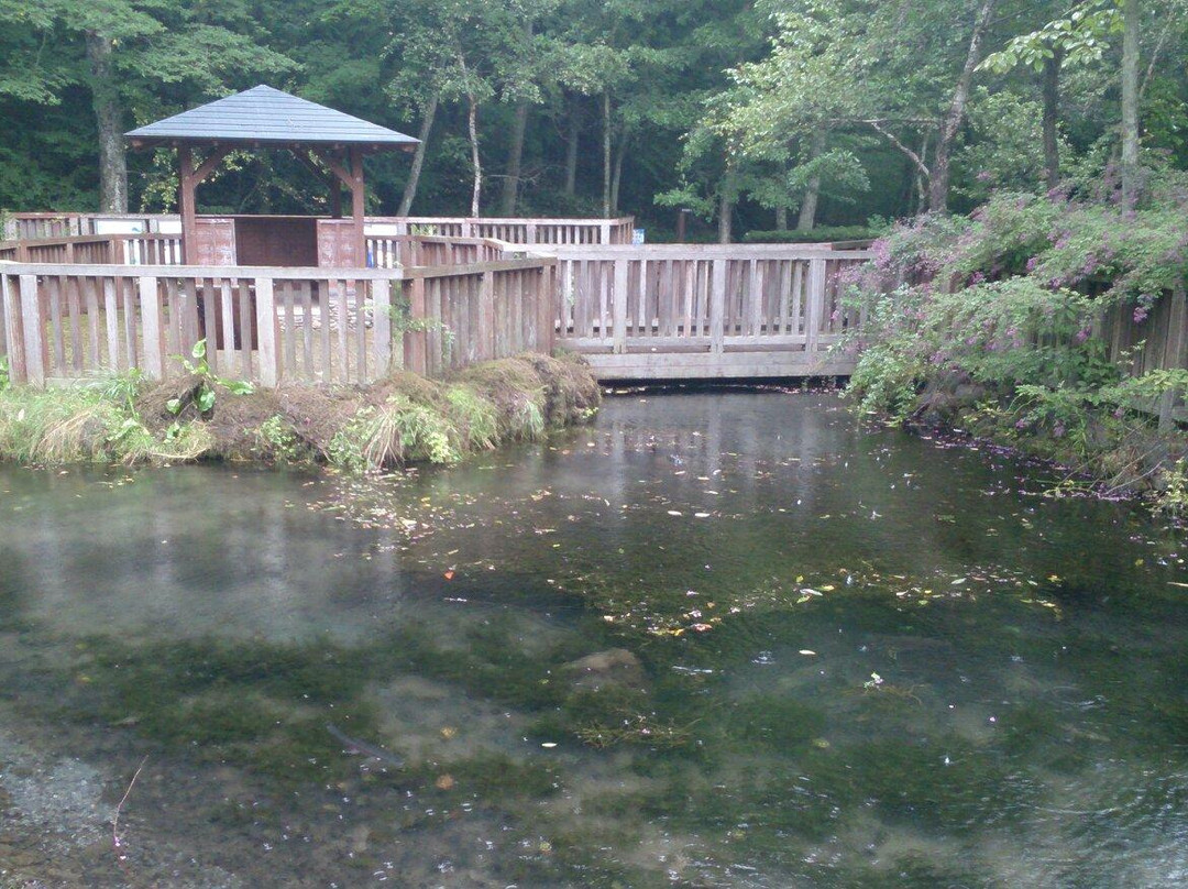 Sakana Park-忍野村必去景点