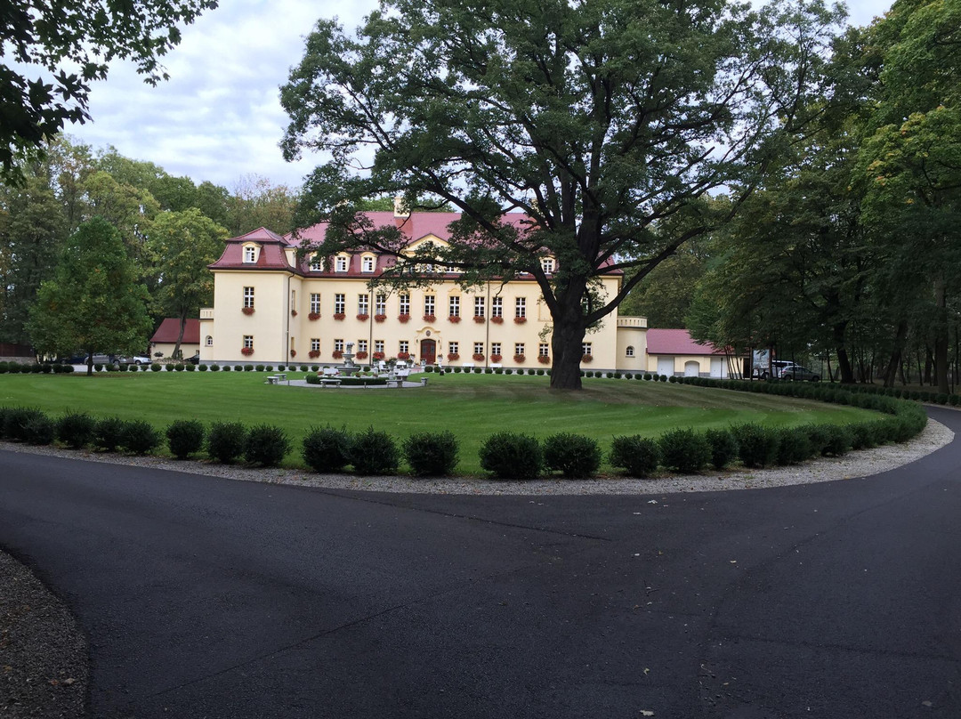 Hotel Palac Izbicko主图
