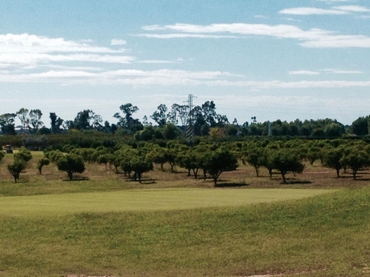 Golf Club Metaponto-Bernalda必去景点