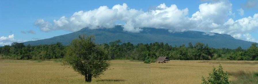 Thai Travel Dreams - Day Tours景点图片