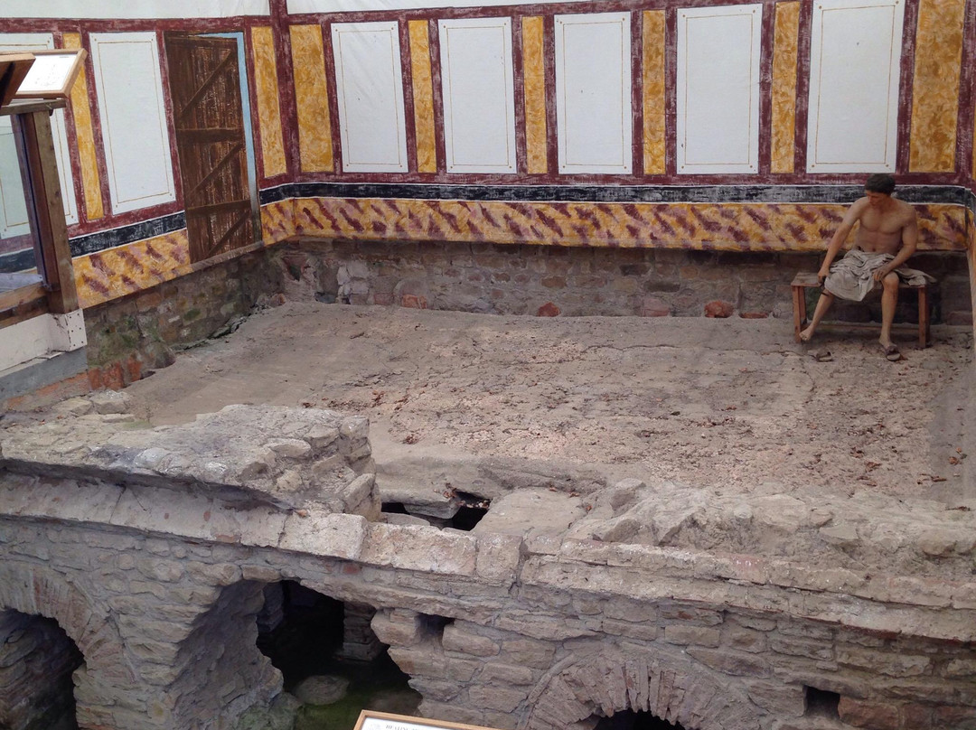 Binchester Roman Fort景点图片